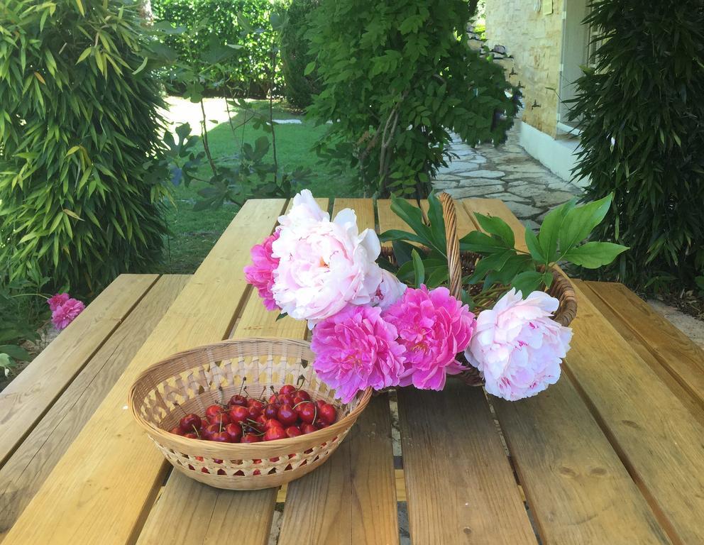 Bed and Breakfast Le Balcon Des Jasses Espere Екстер'єр фото