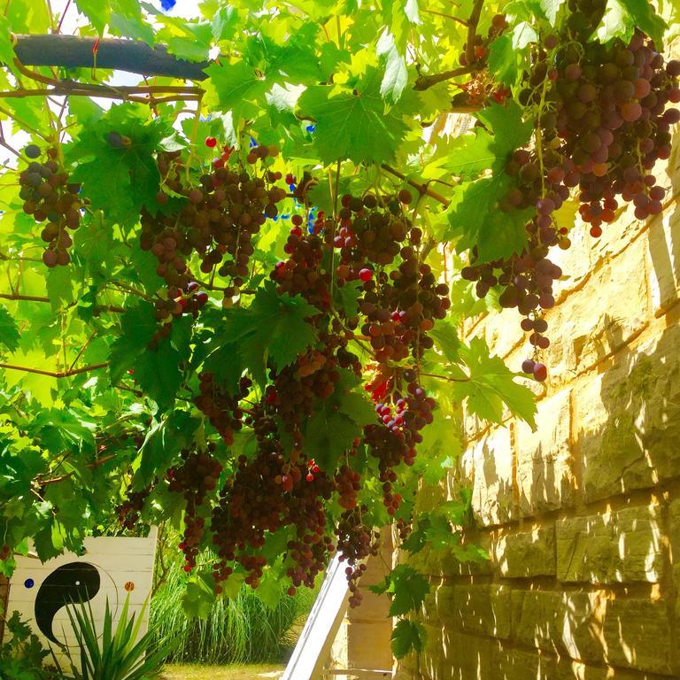 Bed and Breakfast Le Balcon Des Jasses Espere Екстер'єр фото