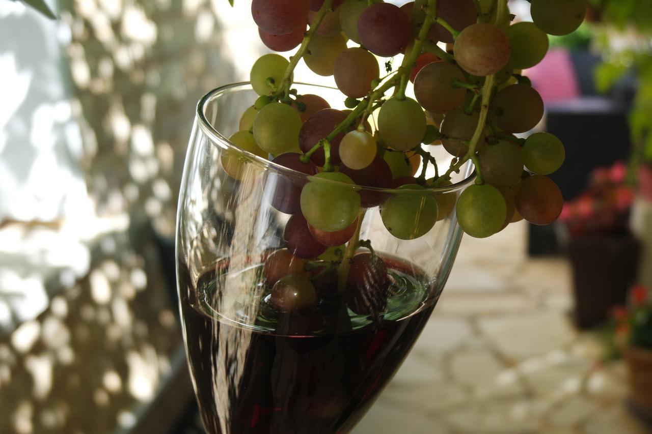 Bed and Breakfast Le Balcon Des Jasses Espere Екстер'єр фото
